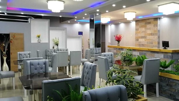A modern reception area with grey upholstered chairs, a reception desk, and potted plants. - San Isidro Grand Hotel (Nazca)