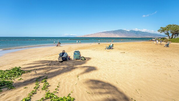 A beach with clear skies, a sandy shore, and a mountain in the background.