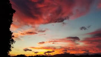 Studio (2 Bedrooms) | Property amenity