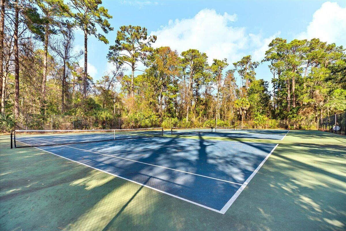 A tennis court surrounded by tall trees.