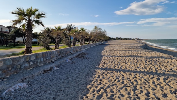 Une plage bordée d’un mur de pierres et de palmiers.