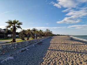 Une plage bordée d’un mur de pierres et de palmiers.