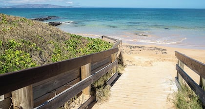 Island Surf 506