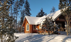 Exterior - Villa Runo (Nuutilanmäki)
