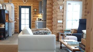 TV, fireplace, DVD player, books