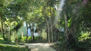 A lush garden with a pathway leading to a building with a thatched roof.