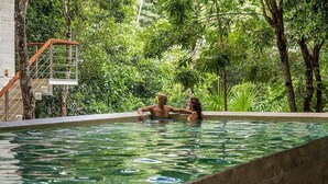 A swimming pool with a wooden deck and a metal railing, surrounded by lush greenery.
