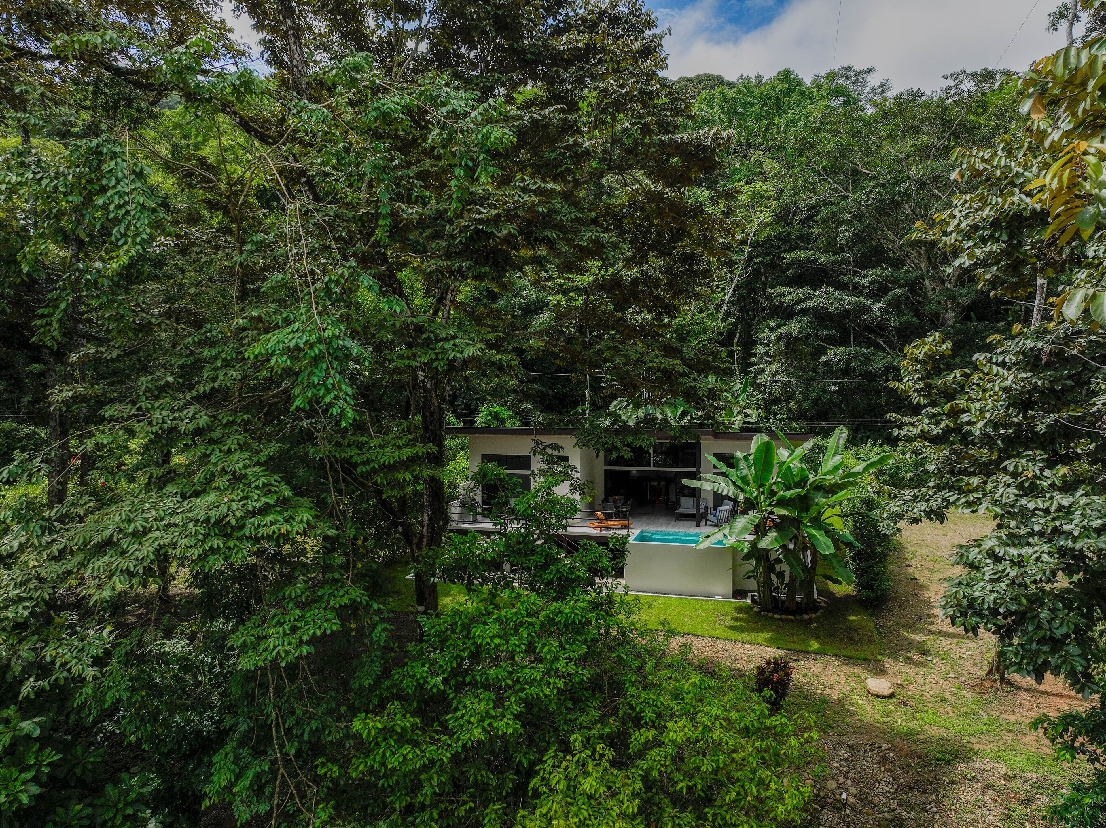 Une maison moderne entourée d’une forêt dense, dotée d’une piscine et d’un espace extérieur aménagé pour se détendre.