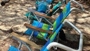 Filas de sillas de playa bajo un árbol, frente a una playa arenosa con agua turquesa cristalina.