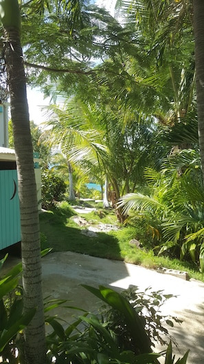 A pathway surrounded by lush greenery and palm trees, leading to a building with a teal door and a crescent moon design.