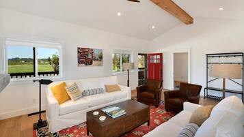 Smart TV, fireplace, books