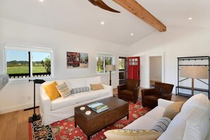 Smart TV, fireplace, books