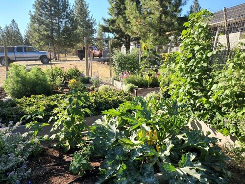 Entire Home with 180 degree Mountain Views of the Bitterroot