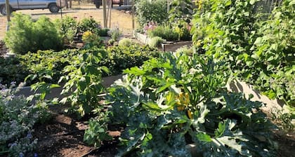 Entire Home with 180 degree Mountain Views of the Bitterroot