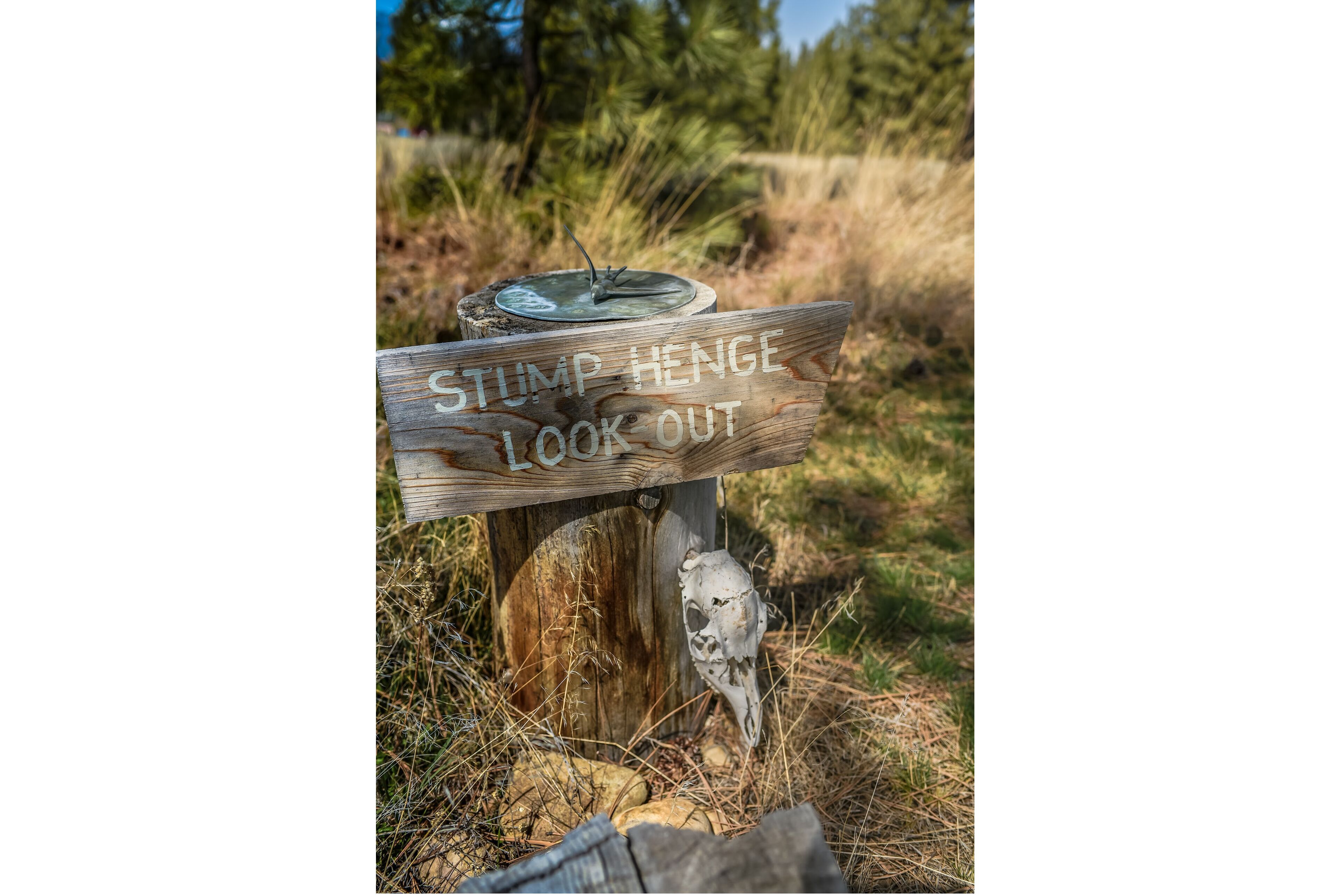 Stump Henge Lookout path