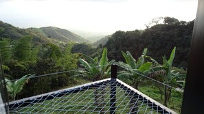 Property grounds - Tiny Glass House with Incredible Views (Palmira)