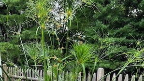 Un jardin où l’on trouve une variété de plantes, une clôture en bois et un chemin pavé de pierres.