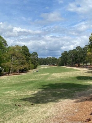 Stunning golf course surrounded by lush trees.