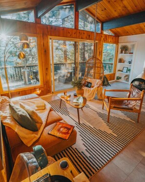 Smart TV, fireplace, books, music library