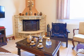 Televisión, chimenea y libros 