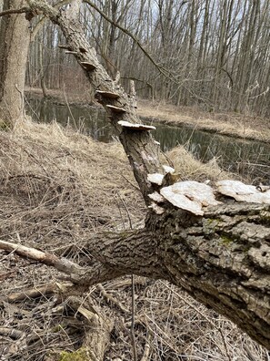 Ensemble douche/baignoire, papier toilette