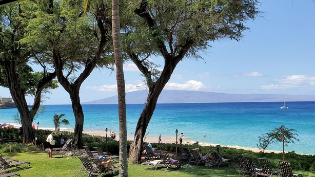 Blick auf einen Strand mit Liegestühlen und Palmen.