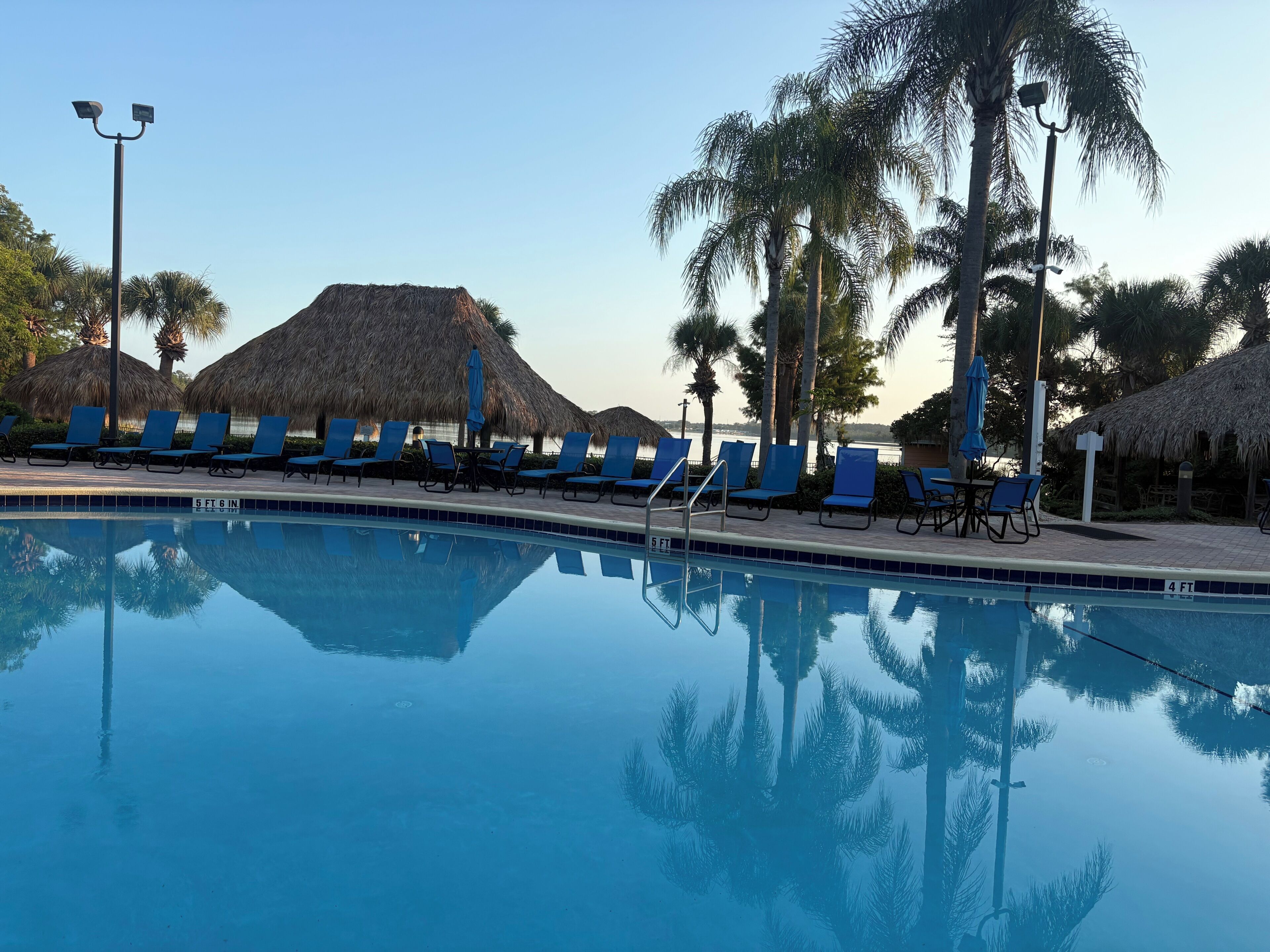 Una piscina con sillones reclinables azules y sombrillas de paja, rodeada de palmeras.