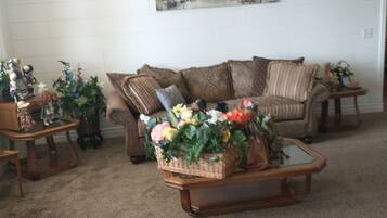 Smart-TV, peis, DVD-spiller og bøker