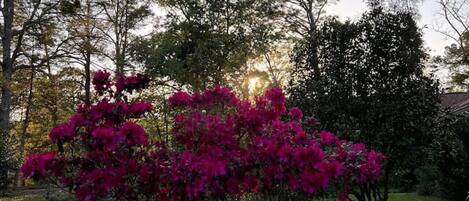 المنطقة المحيطة بالمنشأة