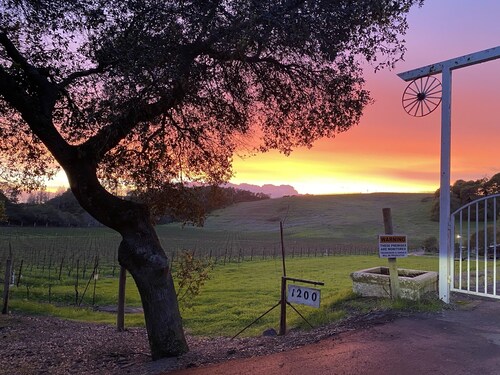 Beautiful 2 bedroom guest house on the edge of a vineyard