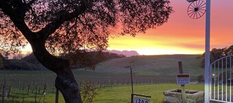 Beautiful 2 bedroom guest house on the edge of a vineyard