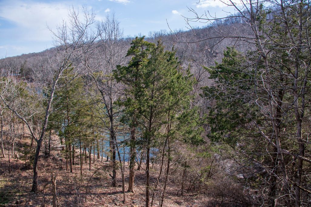 Large Waterfront Home On Beaver Lake - Sleeps 15 - easy walk to shoreline 