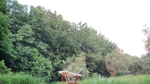Ein Kiesweg mit Holzstufen führt zu einer hölzernen Schaukel im Wald.