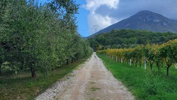 Parco della struttura
