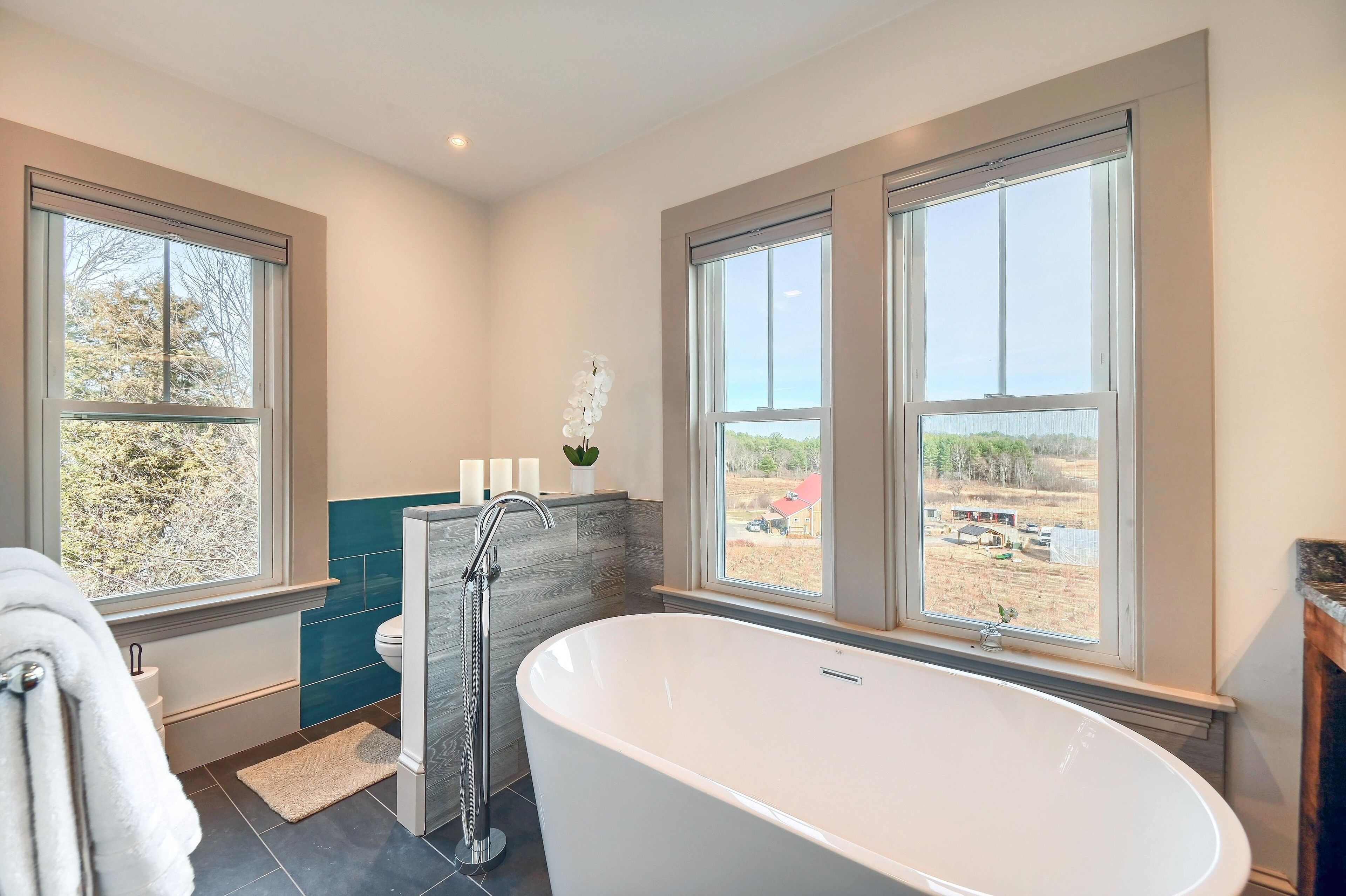 Bathtub, hair dryer, towels, soap