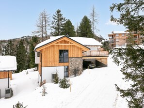 Exterior - Luxurious chalet with sauna, near the ski slope (Turracher Höhe)