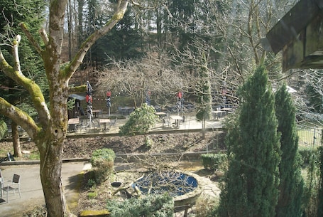 Comfort szoba, 1 king (extra mĂ©retƱ) franciaĂĄgy | KĂŒlsĆ rĂ©sz