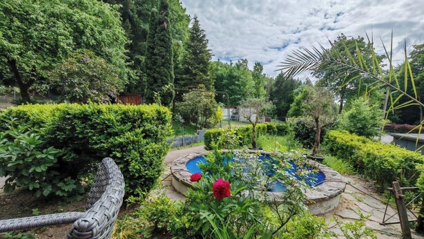 A garden with a stone pool surrounded by various plants and trees. - SILONCE Hotels & Restaurant (Radevormwald)