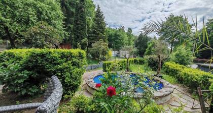 SILONCE Hotels & Restaurant