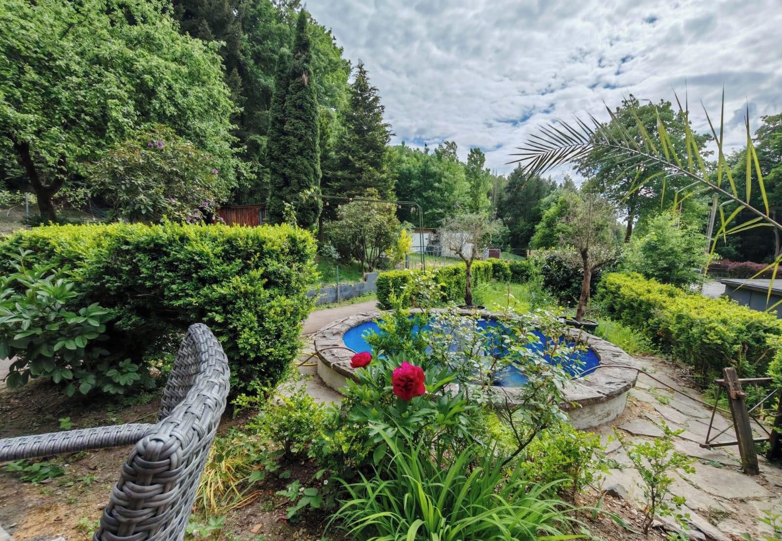 A garden with a circular stone pool surrounded by various plants and a wicker fence.