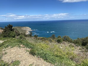 A coastal landscape with rocky terrain and sparse vegetation.