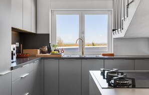 Fridge, oven, stovetop, dishwasher