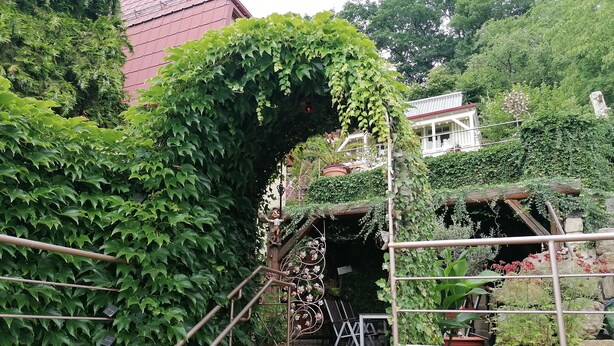 Een trap met metalen leuningen, omringd door weelderige groene beplanting en potplanten.