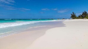 A beach with clear turquoise water, a sandy shore, and some trees in the background.