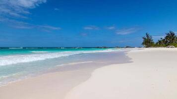 A beach with clear turquoise water, a sandy shore, and some trees in the background.