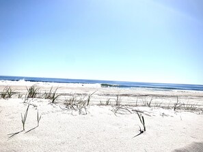 A beach with sand and sparse vegetation. - Salty Life-Spacious 8BR Beach House with Game Room & Rooftop Deck Near Boardwalk (Seaside Heights)