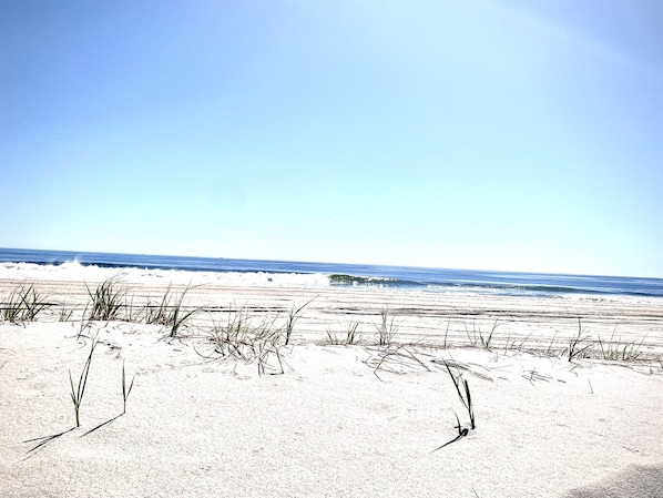 Playa en los alrededores