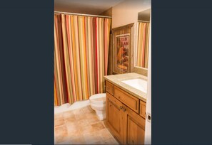 Bathroom features a shower curtain, toilet, vanity, and mirror.