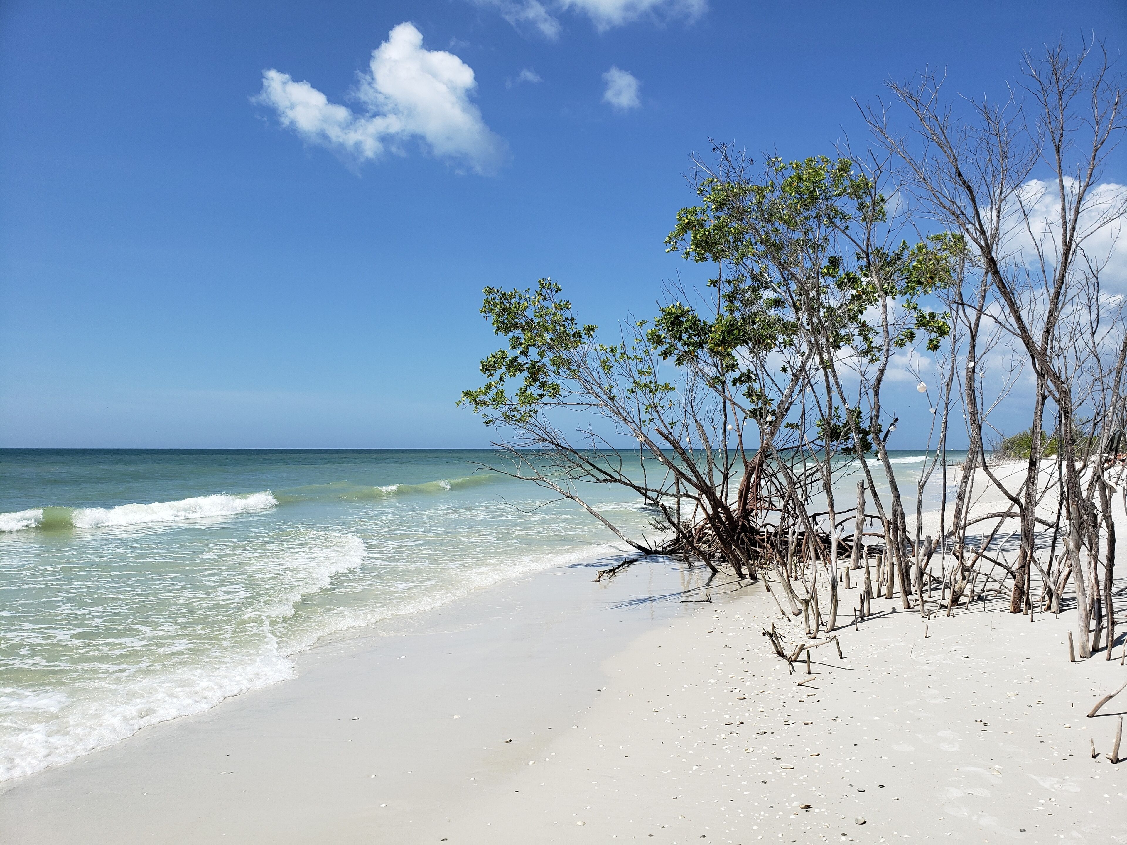 Beach nearby, sun loungers, beach towels