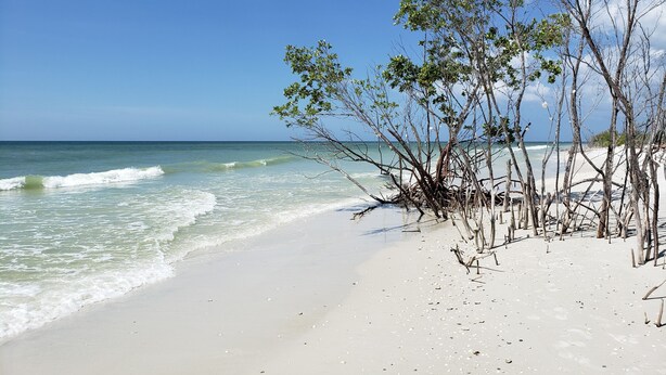 A beach with clear skies, gentle waves, and sparse vegetation. - Marco Island Waterfront Home w/Heated Pool, Bikes, < 2 Miles to the Beach (Marco Island)